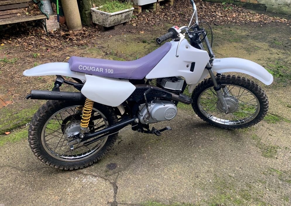 trials bike for sale gumtree
